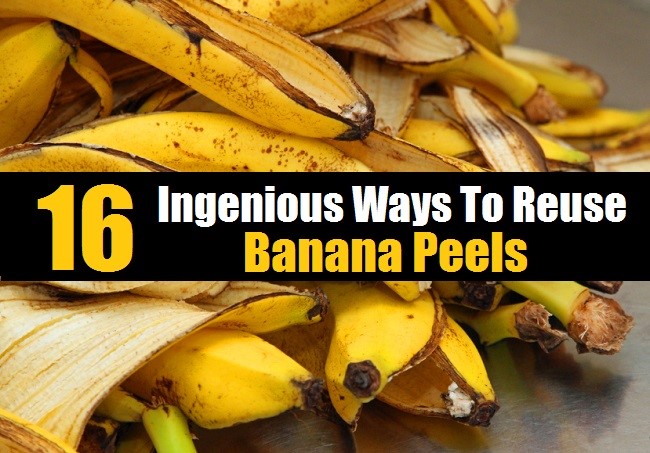 16 Ingenius Ways To Re-Use Banana Peels