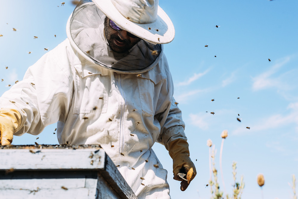 Bee keeper