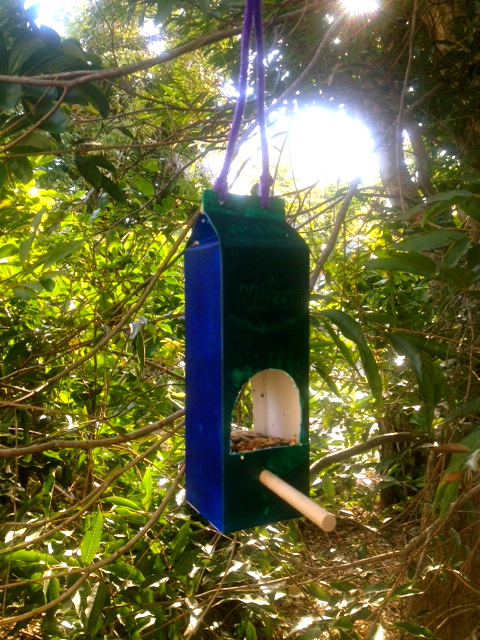 bird feeder