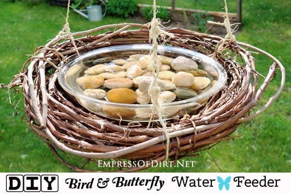 bird feeder and bath