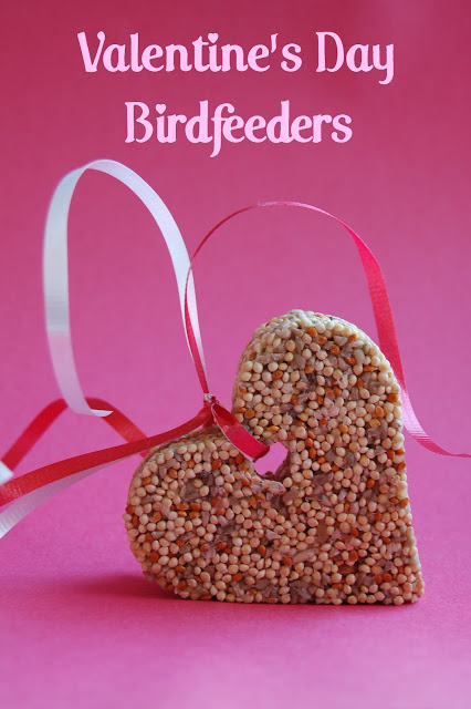 bird feeder for valentines day