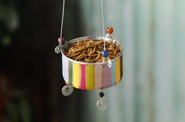 Bluebird-DIY-Feeder-