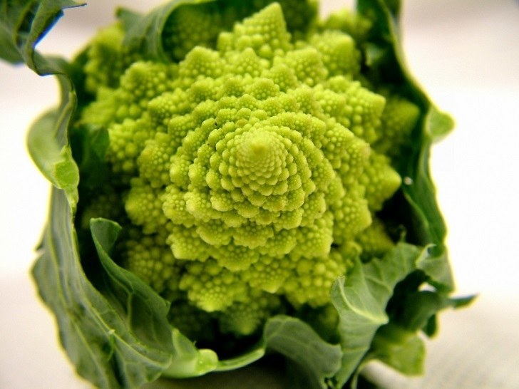 Broccoli Romanesco