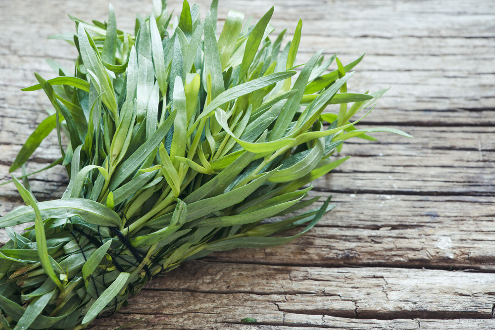 Bunch of tarragon