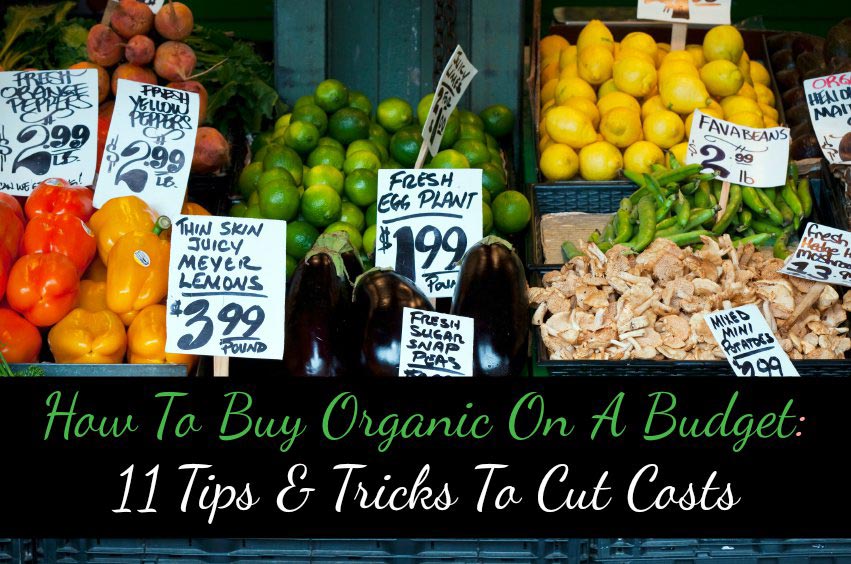 How To Buy Organic On A Budget: 11 Tips & Tricks To Cut Costs