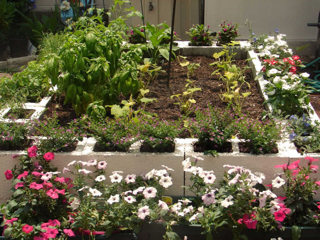 cinder block raised bed ideas