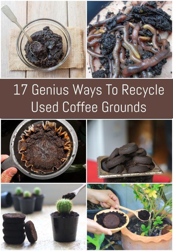 17 Genius Ways To Recycle Used Coffee Grounds