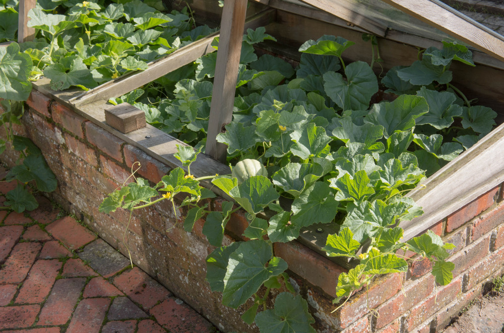 Cold frame