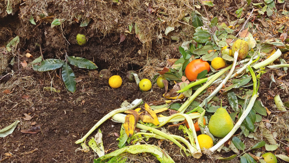 Compost ready for buyring