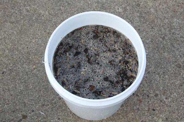 Compost Tea