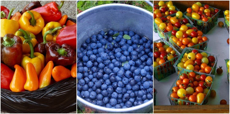 20 Best Fruits, Veggies & Herbs To Grow In Containers For An Endless Supply Of Free Food