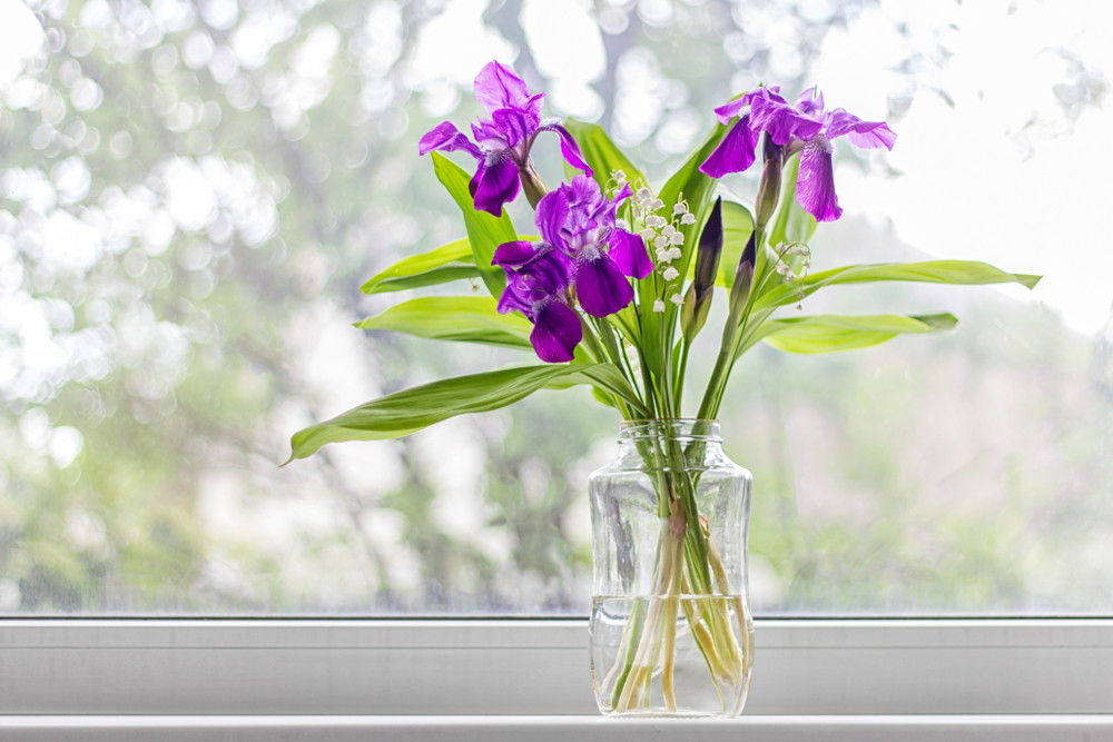 Cut flowers in vase