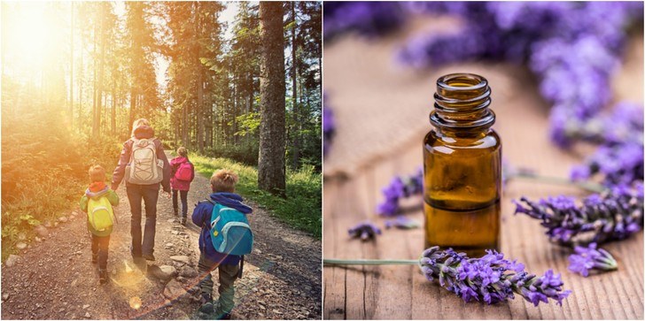 3 Multi-Purpose Essential Oils You Should Always Have In The Great Outdoors