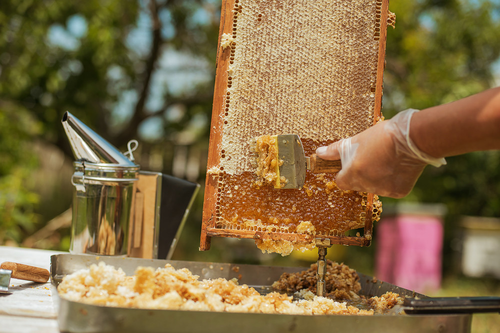 Extracting honey