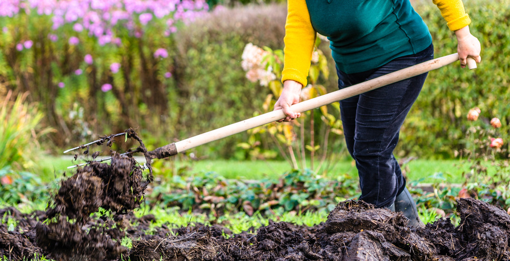 Adding manure to garden