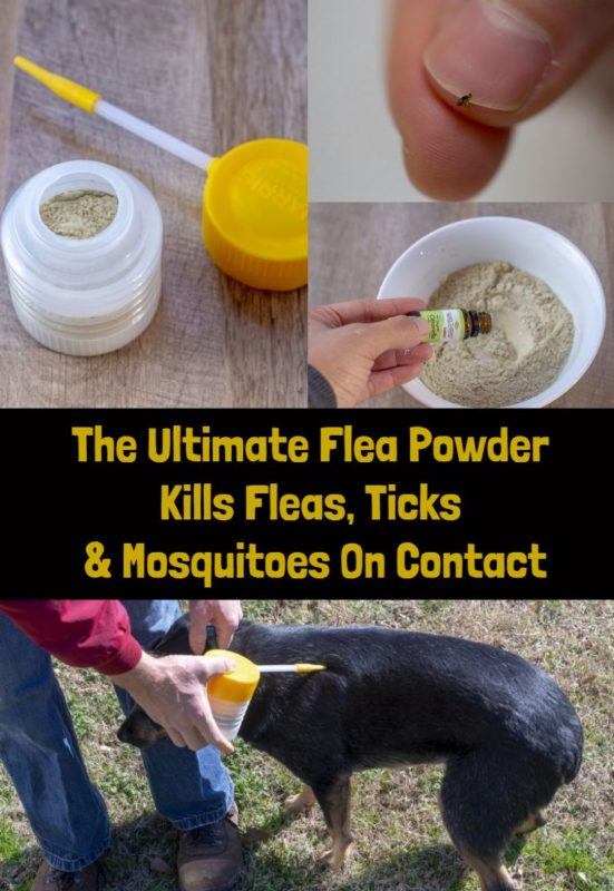 The Ultimate Flea Powder Kills Fleas, Ticks & Mosquitoes On Contact