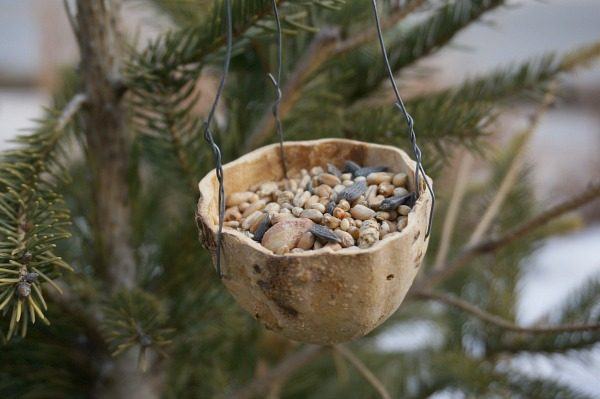 ground bird feeder