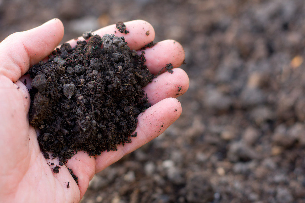 Healthy soil