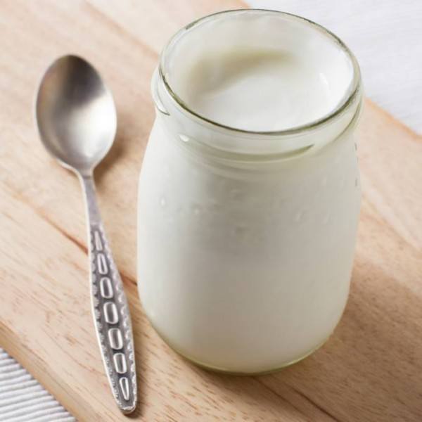 homemade yogurt