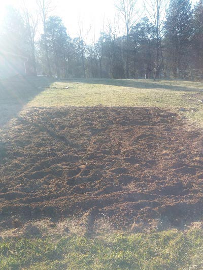 How To Build A 300 Square Foot Windproof Greenhouse For Under $500