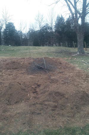 How To Build A 300 Square Foot Windproof Greenhouse For Under $500