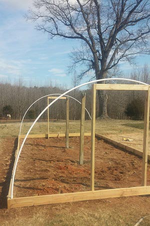 How To Build A 300 Square Foot Windproof Greenhouse For Under $500