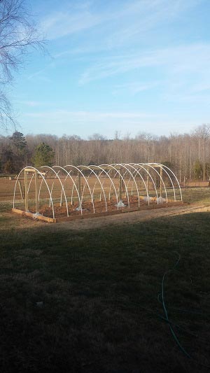 How To Build A 300 Square Foot Windproof Greenhouse For Under $500