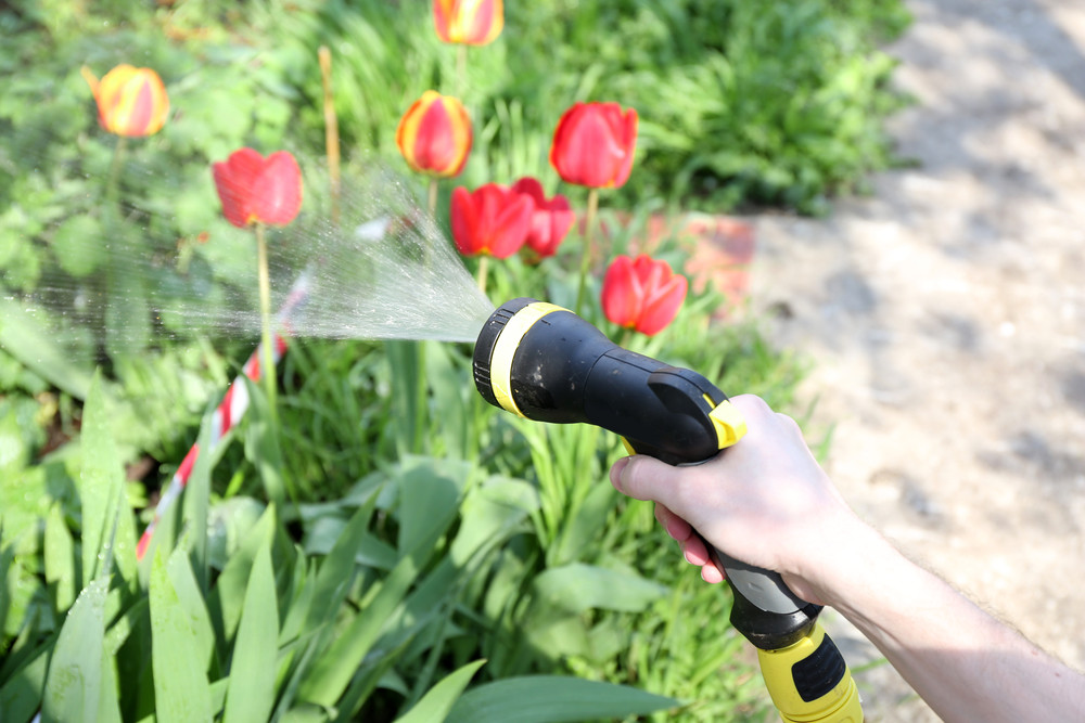 Watering with hose