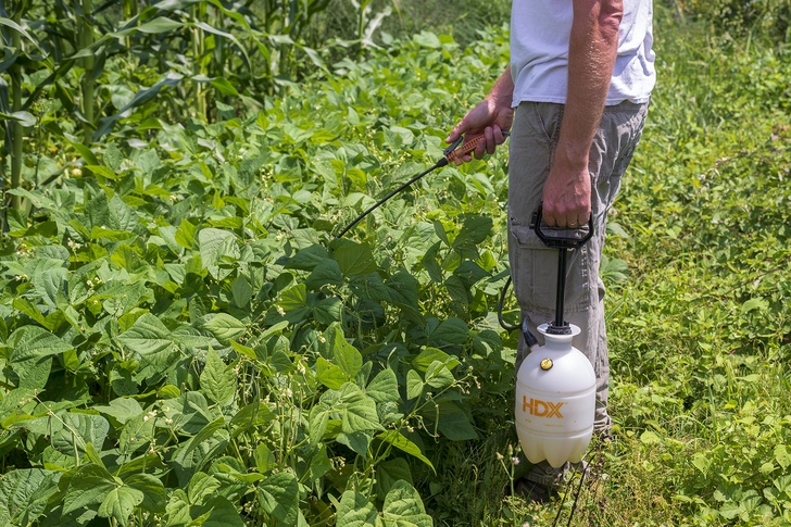 Homemade Garlic & Hot Pepper Garden Pest Spray