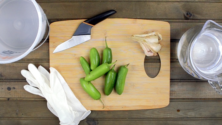 Homemade Garlic & Hot Pepper Garden Pest Spray