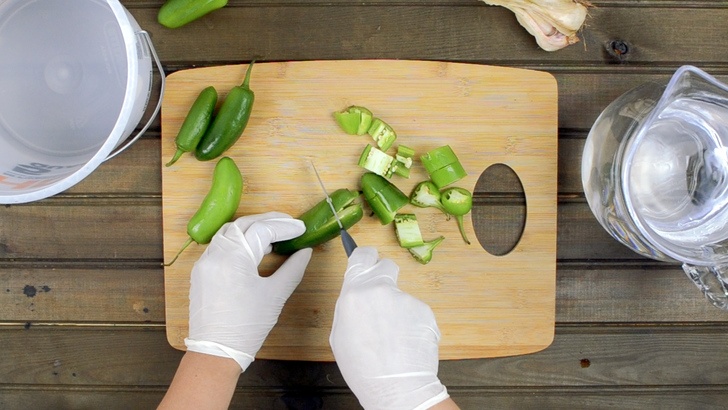 Homemade Garlic & Hot Pepper Garden Pest Spray