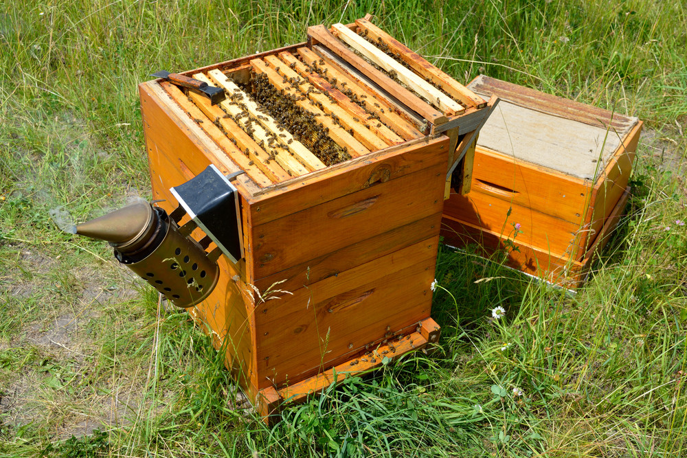 Langstroth hive