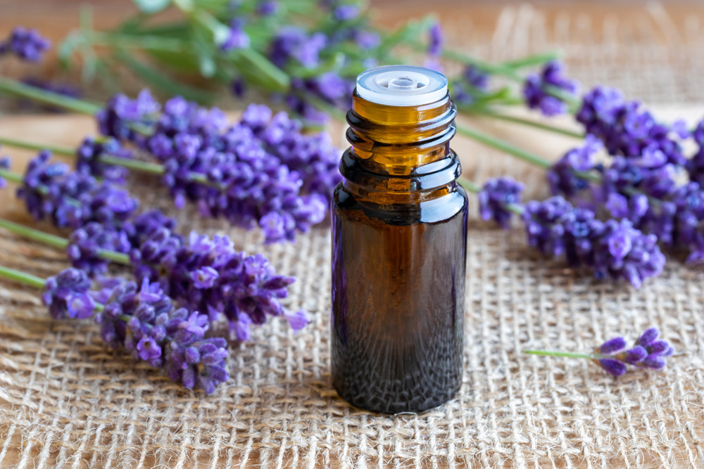 Lavender essential oil