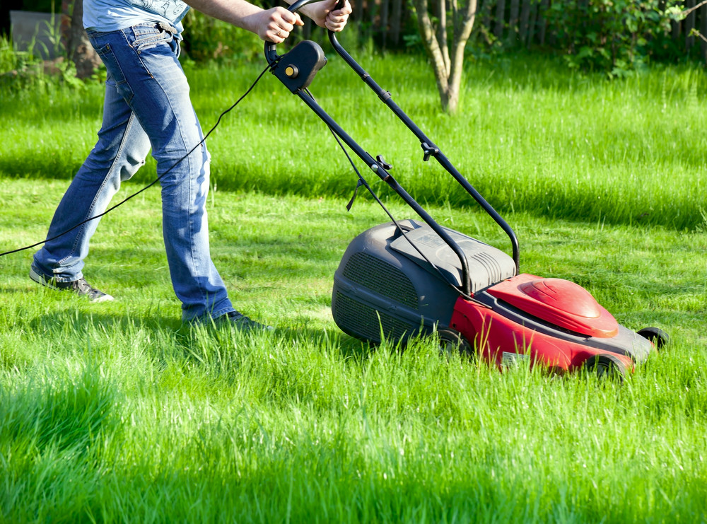 Man mowing lawn