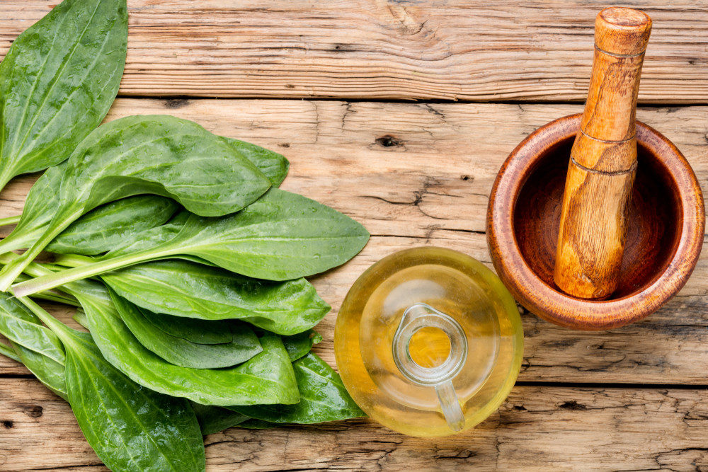 Plantain leaves and oil