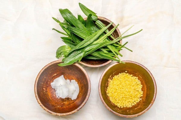 Plantain Salve Ingredients