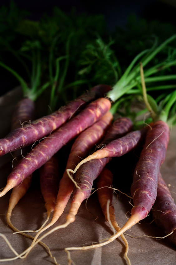 purple carrot