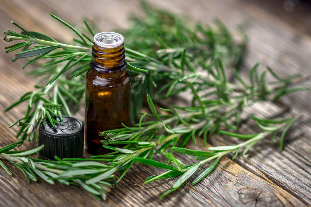 Rosemary essential oil