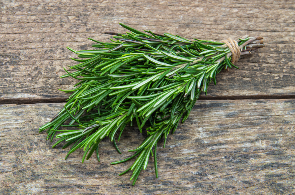 Rosemary sprig