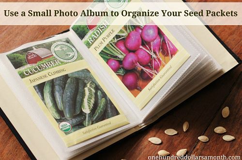 seed organizer