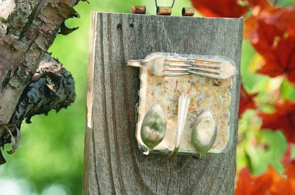 Silverware-Homemade-Suet-Feeder-Horizontal