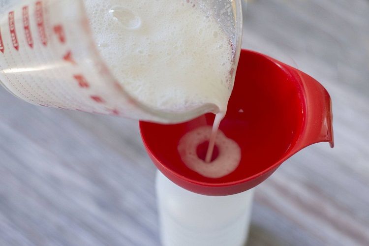 Homemade Soothing Tea Tree Coconut Shampoo To Beat Dandruff & So Much More