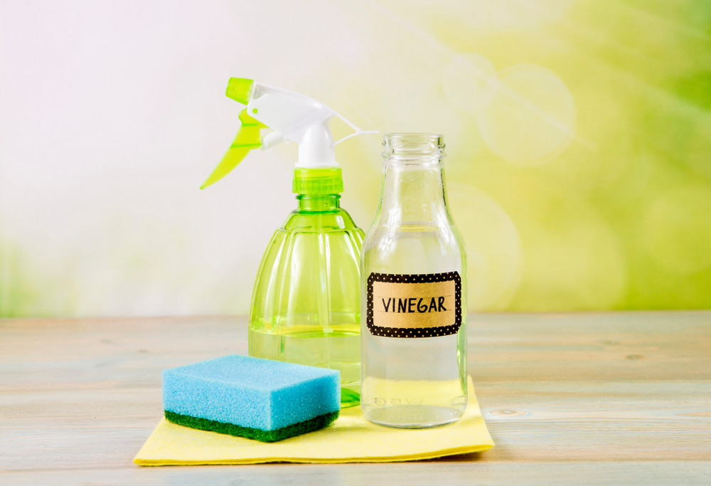 Vinegar and spray bottle