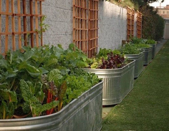 watering trough raised bed