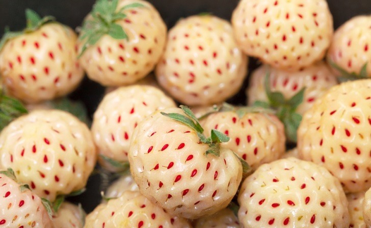 Ripe White strawberries, pineberries, closeup