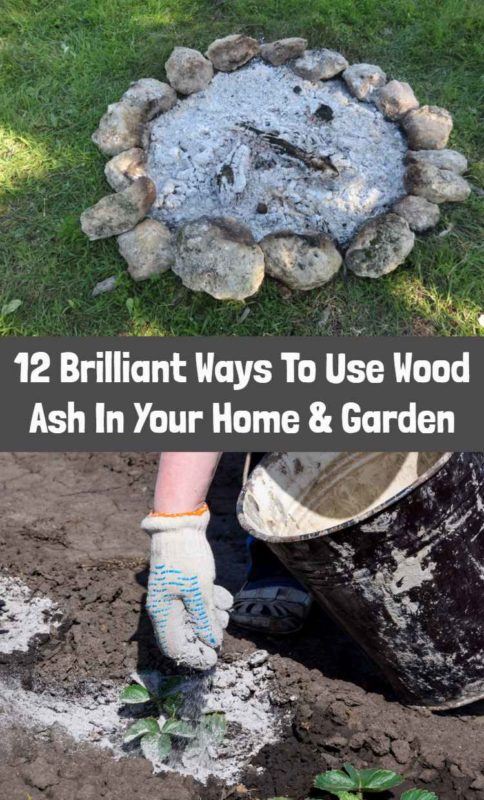 12 Brilliant Ways To Use Wood Ash In The Home & Garden