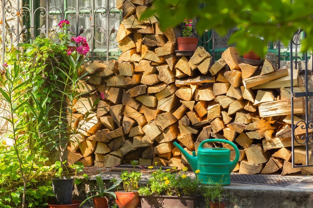 Woodpile in garden